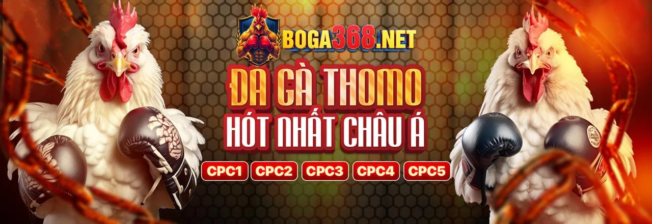 Đội ngũ hỗ trợ khách hàng chuyên nghiệp của Đá Gà Thomo C1 Trực Tiếp